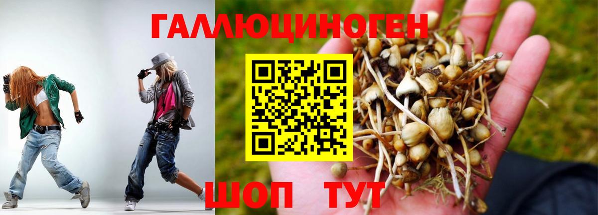 Псилоцибиновые грибы Psilocybine cubensis  Вход с VPN  купить наркоту  Долгопрудный 